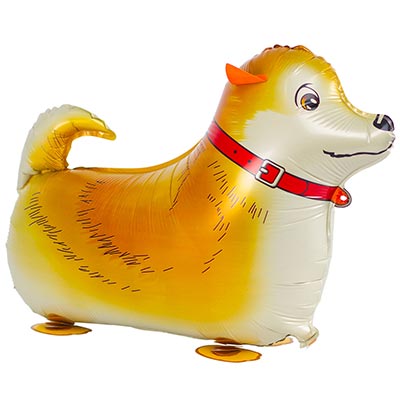 product-photo