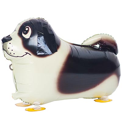 product-photo