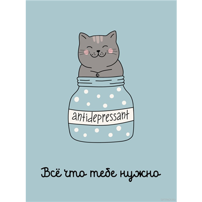 product-photo