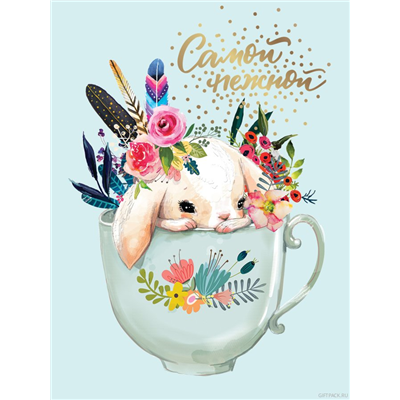 product-photo