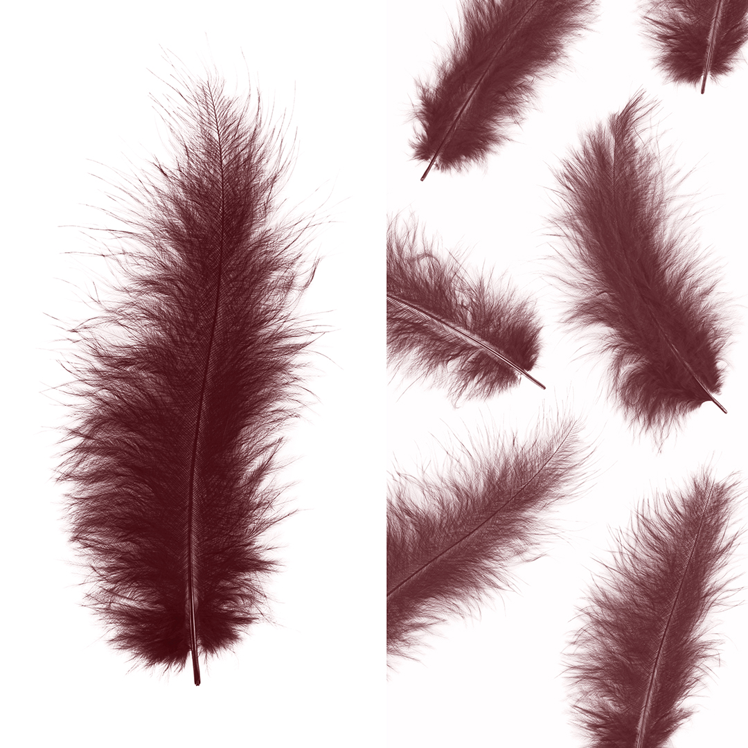product-photo